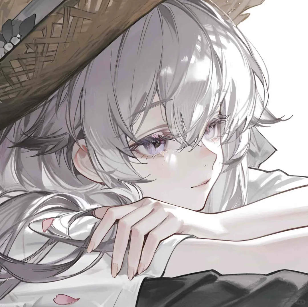 晴晴𝑳𝒐𝒍𝒊𝒄𝒐𝒏